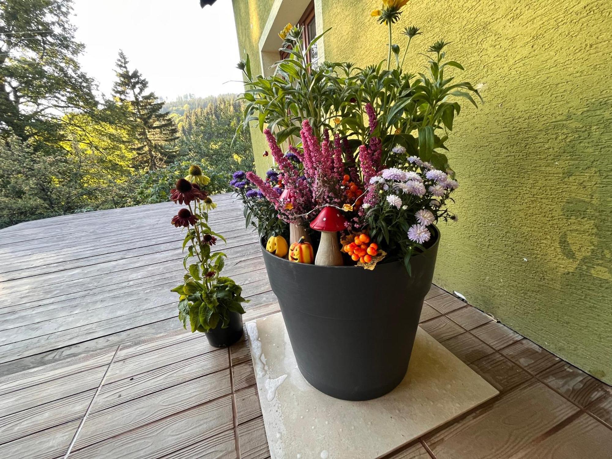 Holiday home U Franze Mala Morava